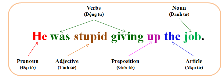 Stupid đi với giới từ gì? Cách sử dụng và ví dụ cụ thể