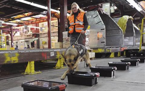 Airport Security Could Go to 'Electronic Sniffer Dogs'
