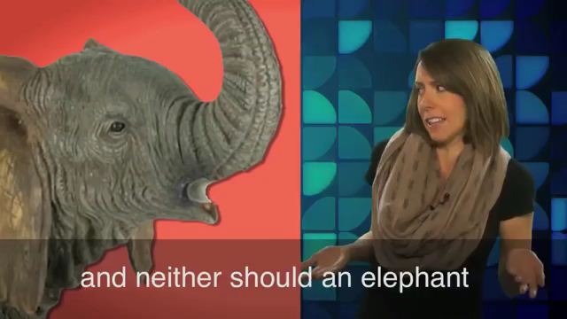 Elephant in the Room - Vấn đề nổi cộm nhưng bị lờ đi