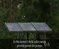 Solar Power Gains Popularity in Africa