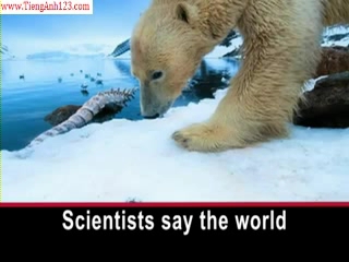 Saving the Arctic's 20,000 Polar Bears