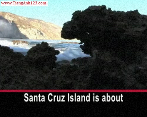 Environmental Students Work to Oust Invaders From Santa Cruz Island