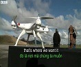 Drone Downing Birds